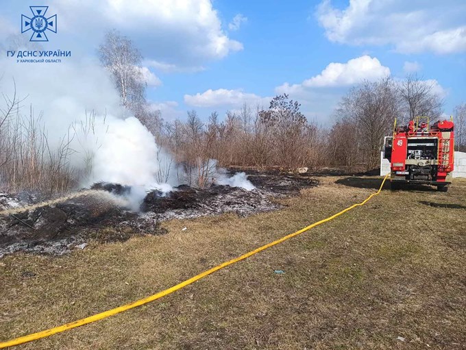 пожежа в екосистемі
